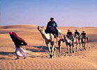 rajasthan camel safari